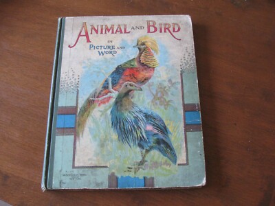 Antique Book ANIMAL and BIRD in PICTURE and WORD McLOUGHLIN BROS Engravings ETC