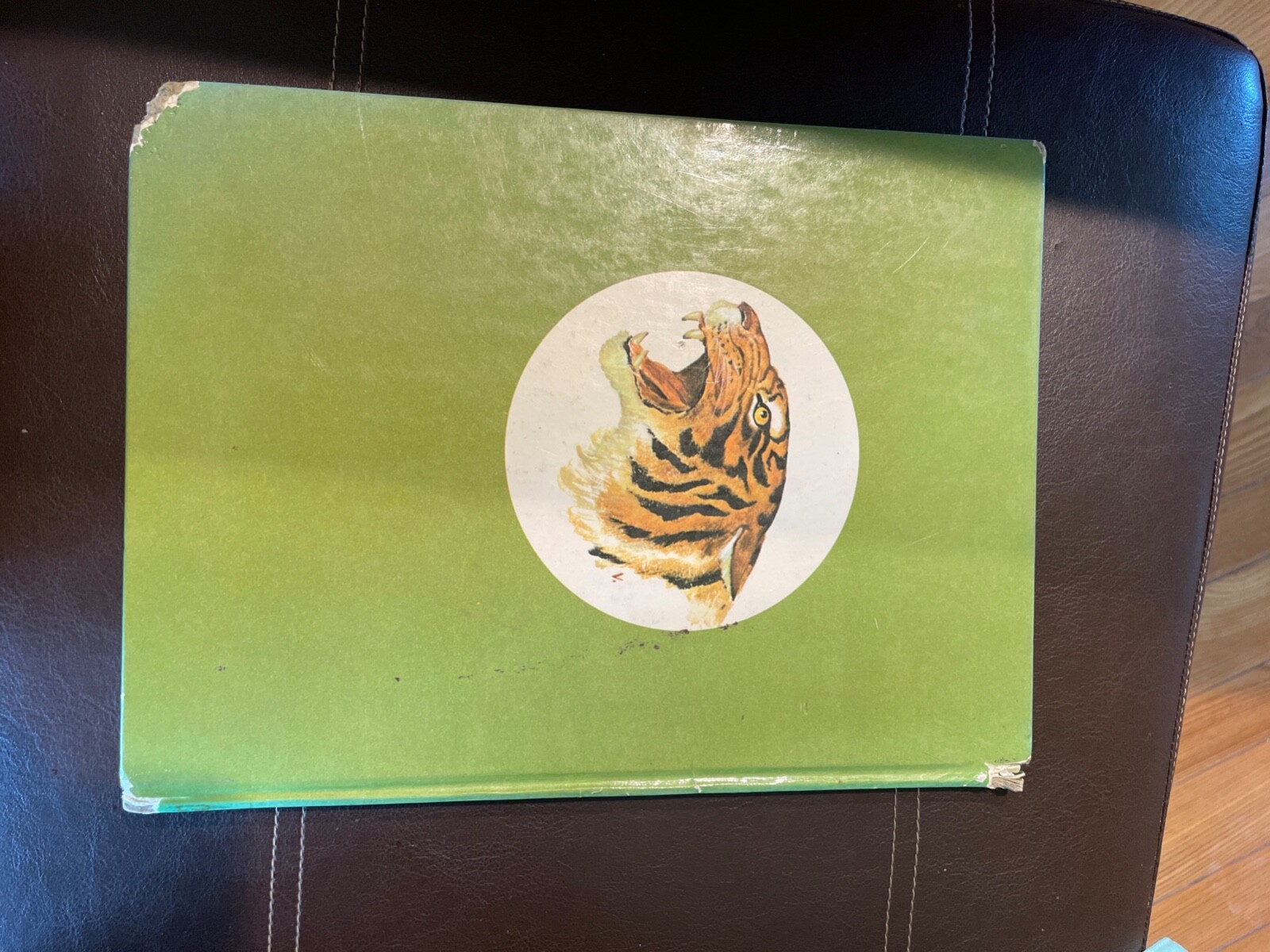 Rudyard Kiplings Jungle Book MOWGLI The Jungle Boy EBay