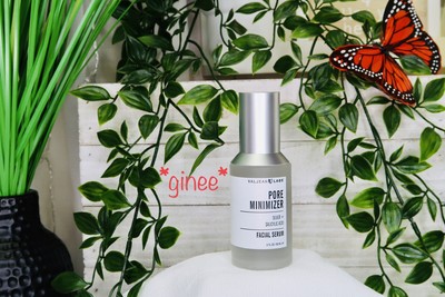 valjean labs pore minimizer