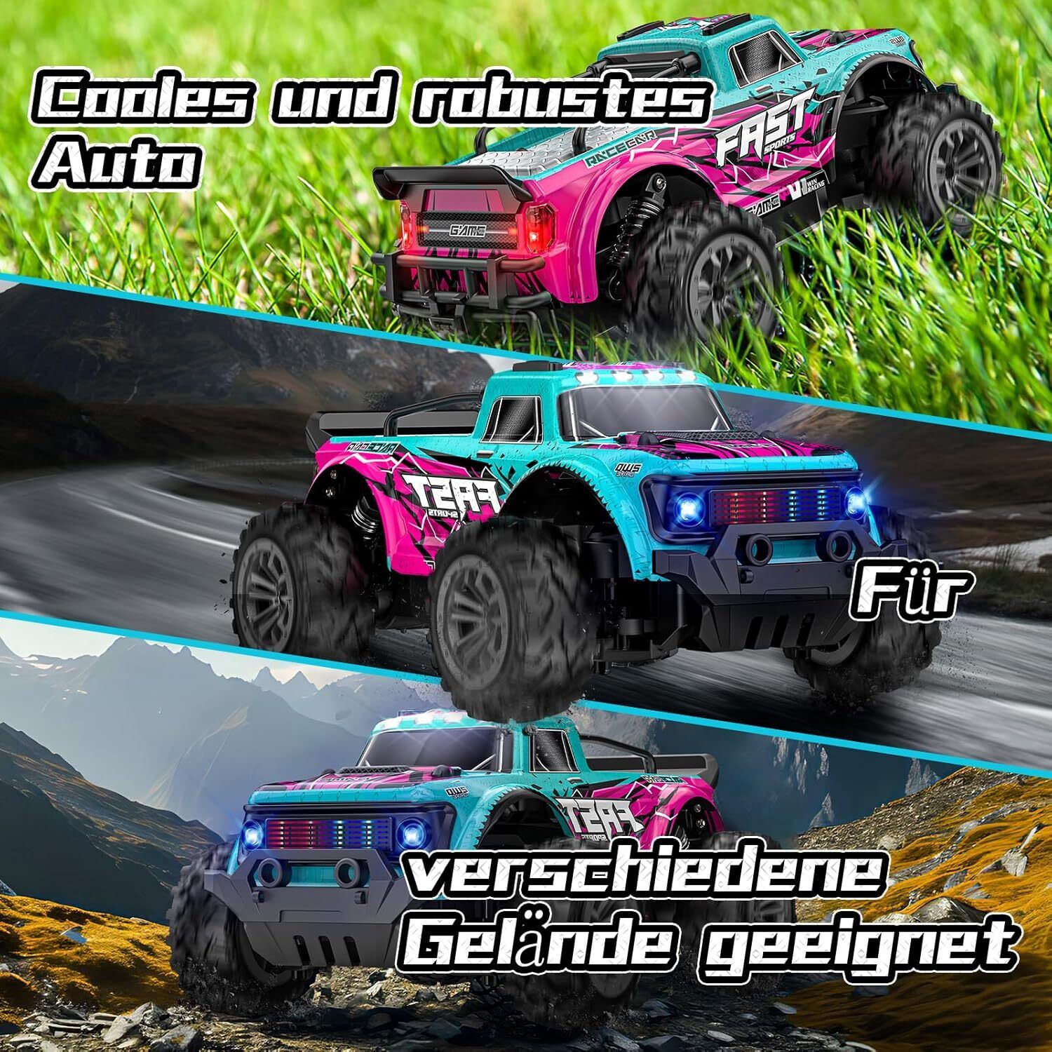 Bild 12 von 15