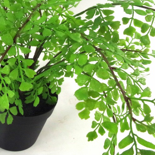Artificial Potted Fern Plant 35cm Maiden Fern Faux Office Plant - 第 2/4 張圖片