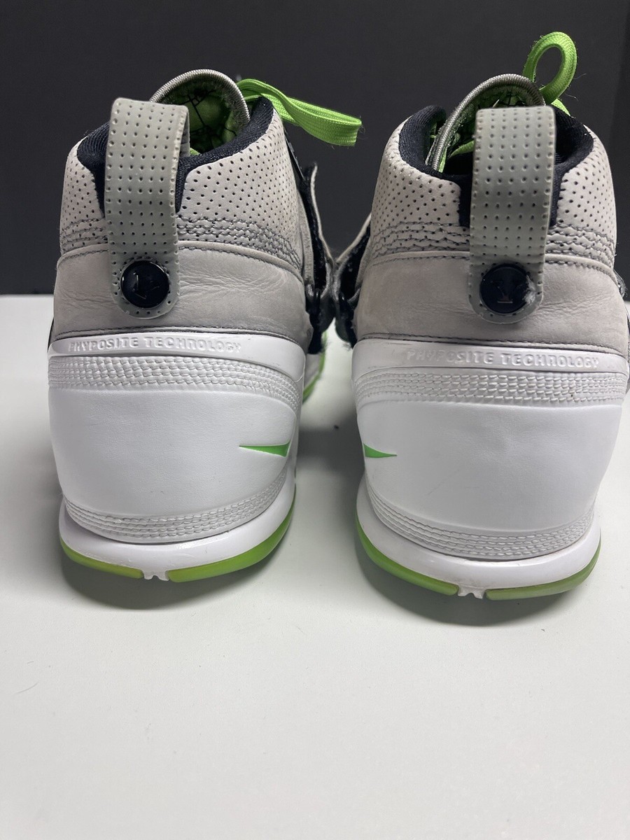 2007 Nike Zoom Lebron 5 V Dunkman Size 10 317253-002 Grey  display picture 1