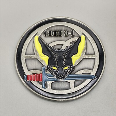 First You Had to Be There Prescnted for Excellenge Cdet 3-1 Challenge Coin