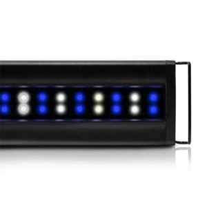 current usa led light