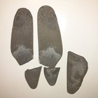 Fossil Entombed In Stone — photo 1
