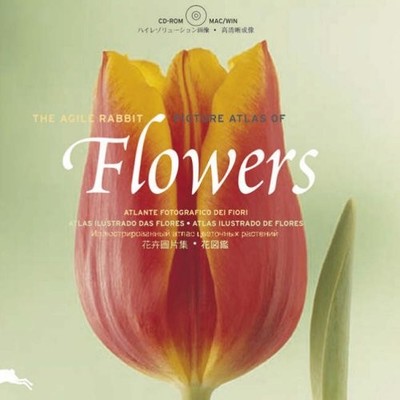 Flowers (Agile Rabbit Editions) by Pepin Press 905768070X The Fast Free Shipping