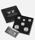 Limited Edition 2021 Silver Proof Set - American Eagle Collection 21RCN IN HAND!