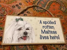SPOILED ROTTEN MALTESE LIVES HERE! 5 x 10” WOODEN SIGN/ FREE POSTAGE!!!