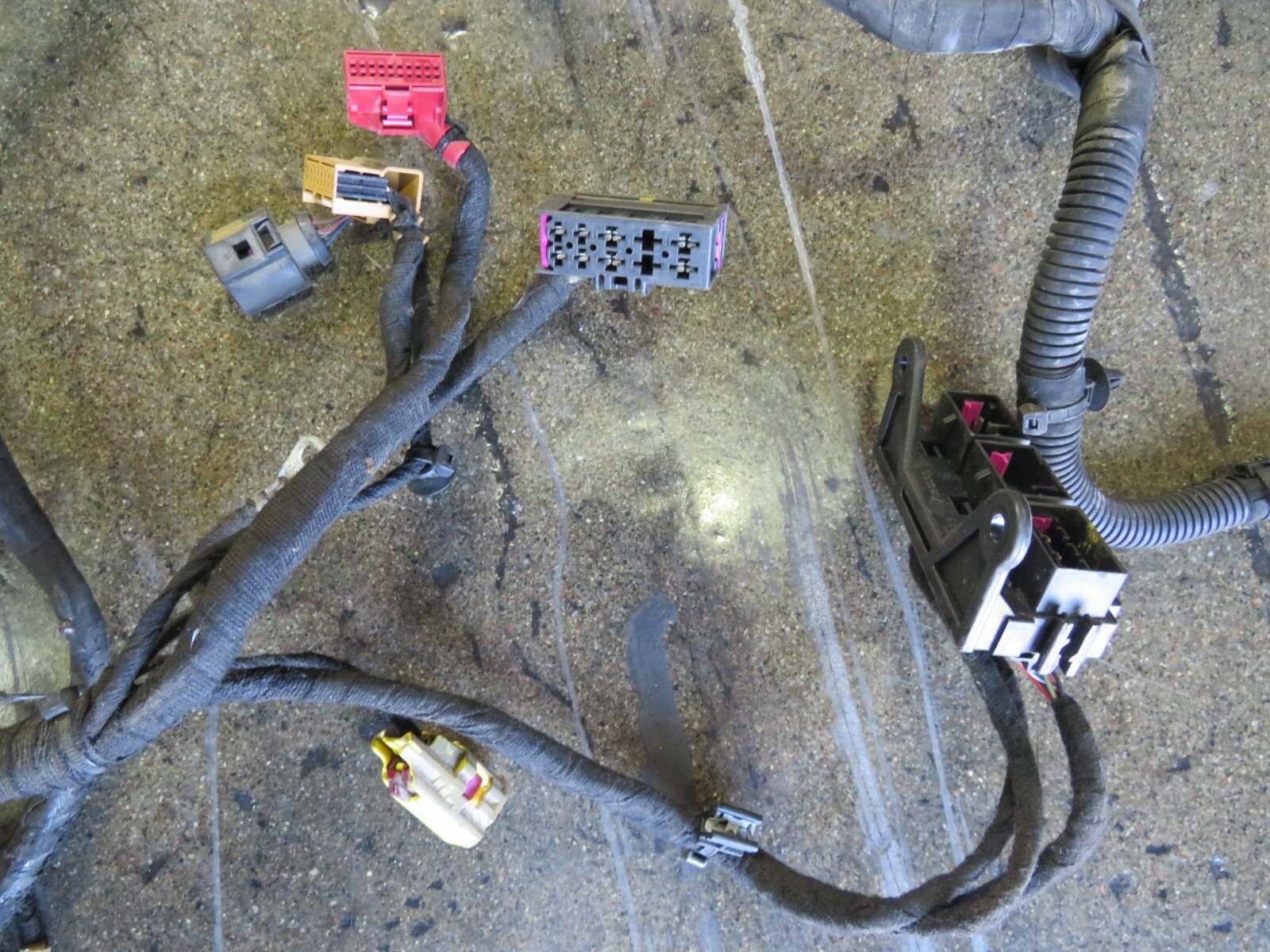 Lamborghini Gallardo LP 550 Spyder, Main Body Wire Harness, Used, P/N 404971140S