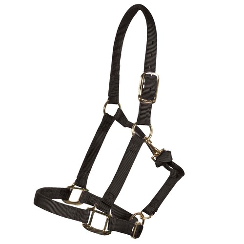 ZooVenture Lunging Aid pour cheval pas cher