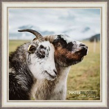 Square Refined Silver Picture Frame - UV Acrylic, Backing, Hanging Hardware