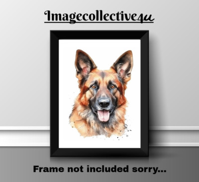 DEUTSCHER SCHÄFERHUND A4 DRUCK BILD POSTER BILD WANDBILD WOHNDEKO GESCHENK NEU HAUSTIER