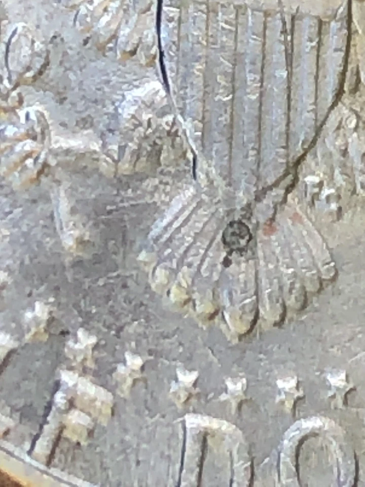 1995 PCGS error Struck  Kennedy Half Dollar Mint Errors - Image 3 of 4