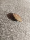 Civil War Confederate Georgia regiment officers button from battle in Georgia — photo 4