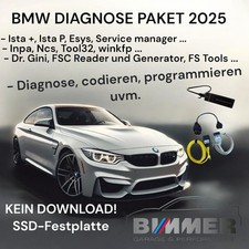 Diagnose Interface  ISTA+ 4.52.21 BMW Mini Es...