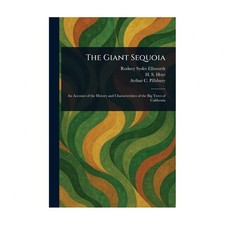 The Giant Sequoia Ellsworth Paperback