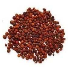 Malkangni Beej - Jyotishmati Seeds - Celastrus Paniculatus