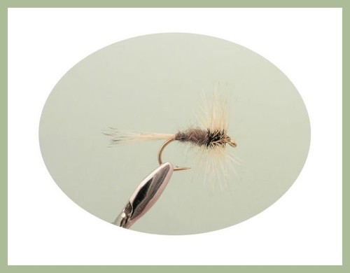 Early Season Trout Flies, 65 Boxed set, NAMED PATTERNS, good river flies, BOXM7 - Picture 4 of 12