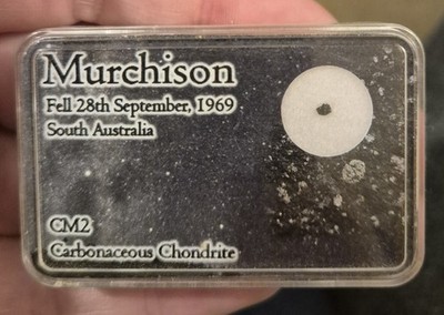 MURCHISON CM2 RARE Historic Carbonaceous Chondrite Witnessed Fall Meteorite