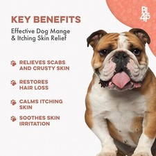 Buy Healthy Paw Life Lime Sulfur Spray - Pet Care For Dry And Itchy Skin - Hot Spots, Mange