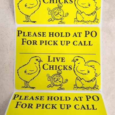 200 Large 4'' x 3'' Live Chicks Hold At PO For Pick up call Shipping Labels