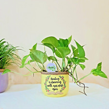 Hand-Painted "Reading is Dreaming with Eyes Wide Open" Pot   Book Lover's Decor