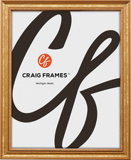 Craig Frames 314GD, Ornate Gold Picture Frame, 8.5 X 11 Inch