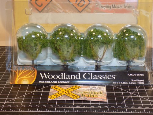 HO Woodland Scenics TR3504 Sunkissed 4 naranjos (121523) | Condition: Used