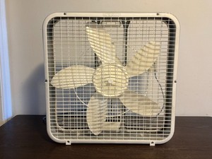 Lakewood Box Fan | eBay