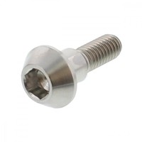 Bremsscheibenschraube Vorne M6X1.00 20Mm Titan FüR Suzuki GSX-S 1000 UF 15-16