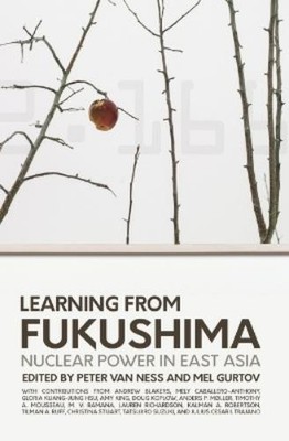 Peter Van Ness Learning from Fukushima (Taschenbuch)