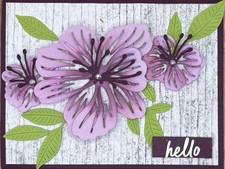 Stampin  Up Every Occasion