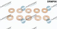 Dr.Motor Automotive DRMP06 Dichtungssatz, EinspritzdüSe For Dacia Fiat Mercedes