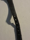 Ladies Arizona State Watch — photo 5