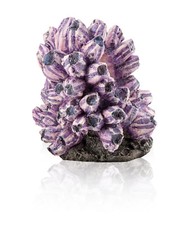 biOrb Aquarium Dekoration Rankentraube Ornament lila 22 x 22 x 26 cm