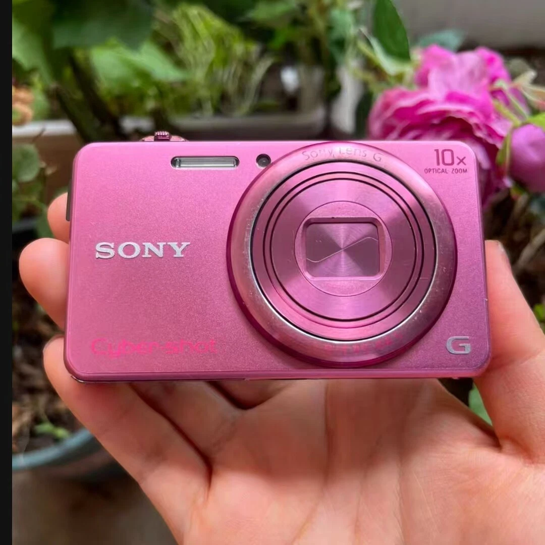 SONY Cyber-shot DSC-WX220 Digital Camera 18.2MP LUMIX Compact Pink