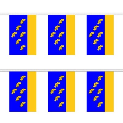 Flagtex West Sussex rechteckige Wimpelkette