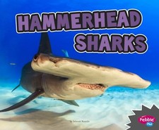 Hammerhead Sharks All about Sh - ACCEPTABLE