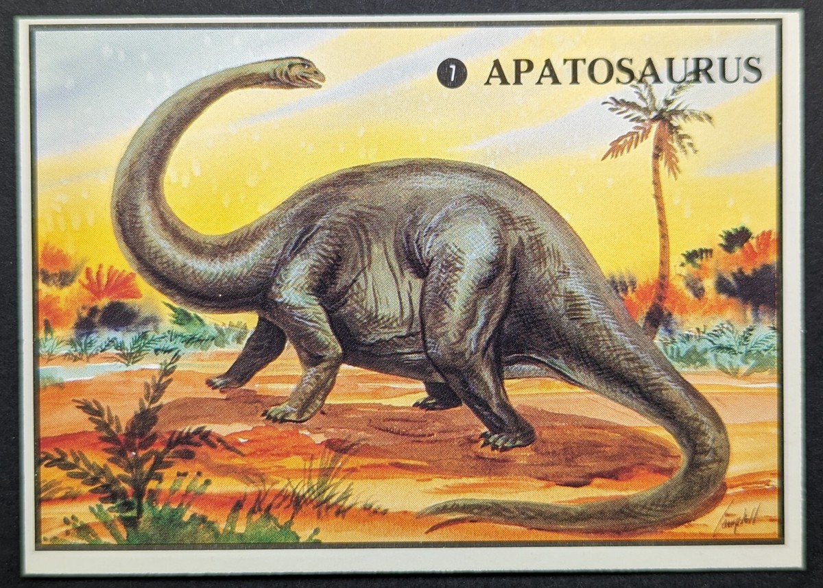 dino13ページ Vintage 1987 Dinosaur Dino Card #7 (NM) | eBay