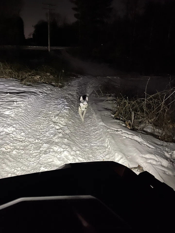 Kit de faros LED ATV para Polaris Scrambler 500 850 XP 2x 9008 6000K bombillas blancas Foto 2 de 4