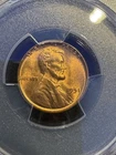 1951 1C LINCOLN WHEAT PCGS MS65RD