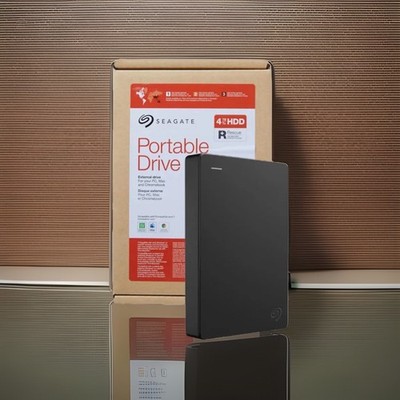 Seagate STGX4000400 Portable 4 TB USB 3.0 External Hard Drive - Black