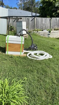 Free Bee Removal Gumtree Australia Free Local Classifieds