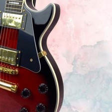 Black-bodied Red Electric Guitar Gold Hardware Fixed Bridge HH Pickups