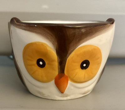 Ceramic Owl Ramekin Bowl Dish Cookware Baking