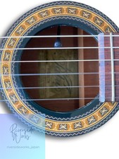 Godin La Patrie Electro-Classical Guitar
