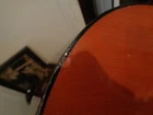 Picture 19 of 19
