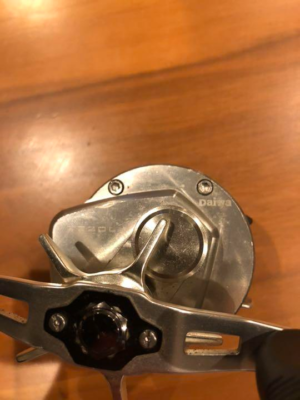 DAIWA Ryoga 2020L Fishing Baitcast Reel Left Hand from Japan [USED