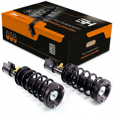 2x Komplett Stoßdämpfer Federbein Satz Vorne für BMW X5 (E53) 05.2000-2006 3.0