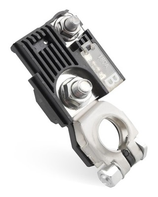 LANDSIN 180 Amp Single Pole Fuselink with M8 Nut and M6 Nut for Fuse Connecti...